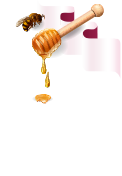 לוגו מידרג