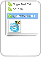 תמונת הסקייפ של רותי גולדשטוף